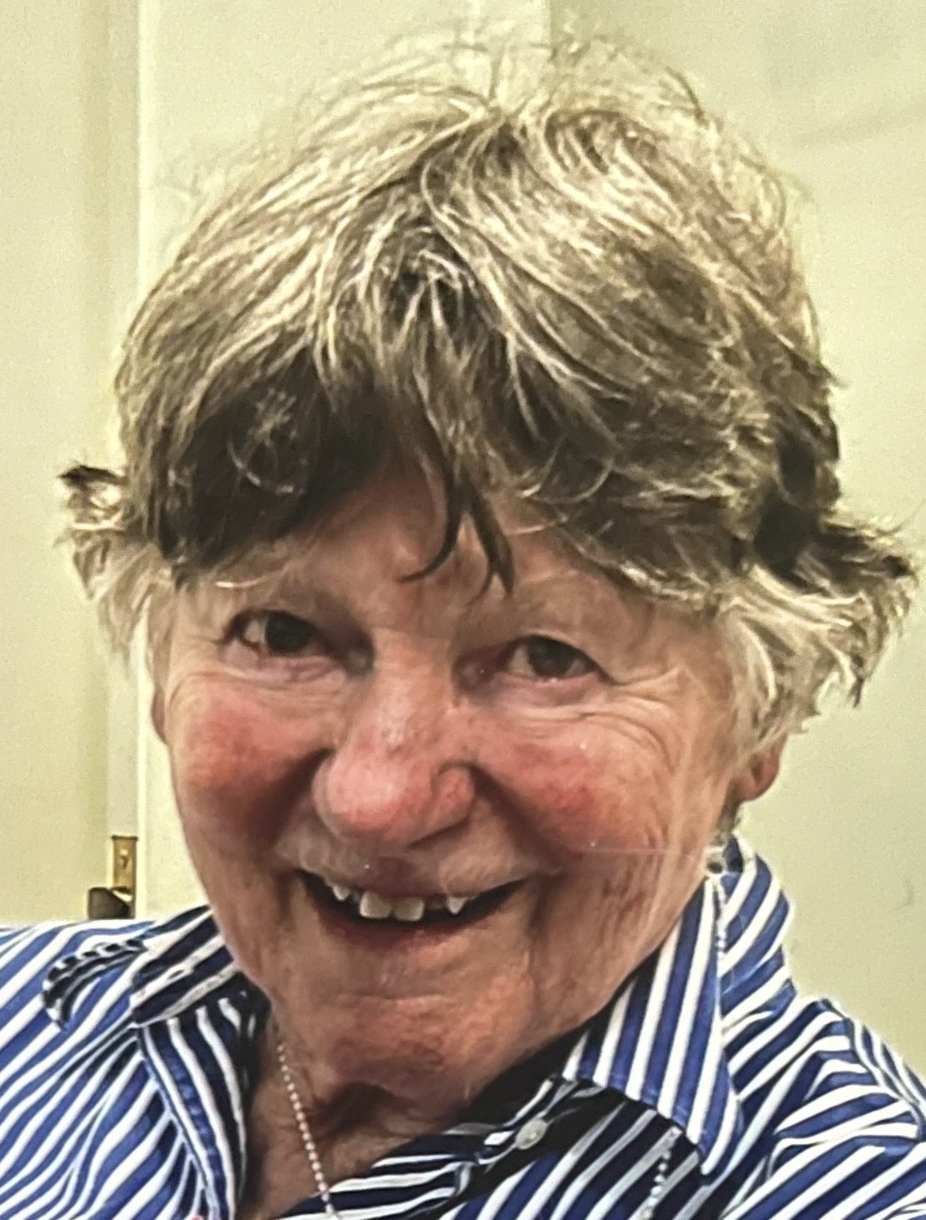 Mary Louise  Cochran